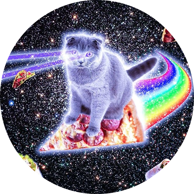 Cosmic cat surfing on a pizza through space with tacos